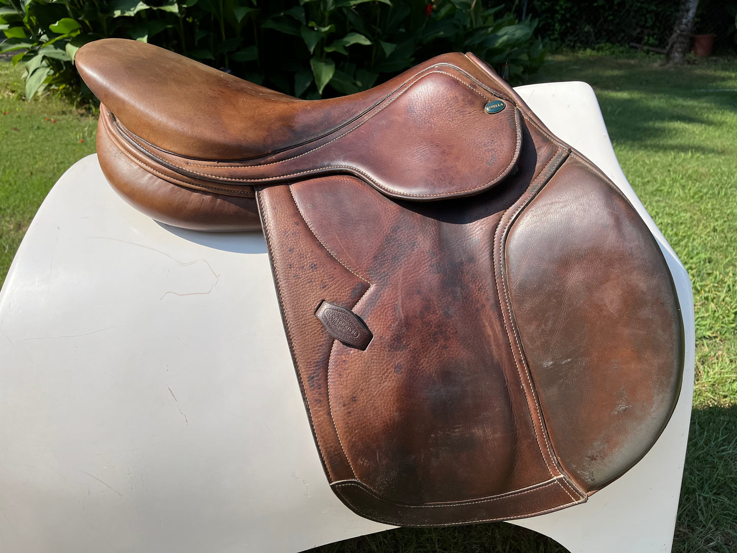HDR Rivella Jump Saddle