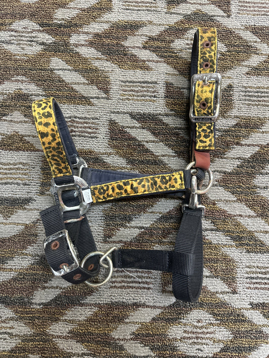 Lami-Cell Nylon Halter