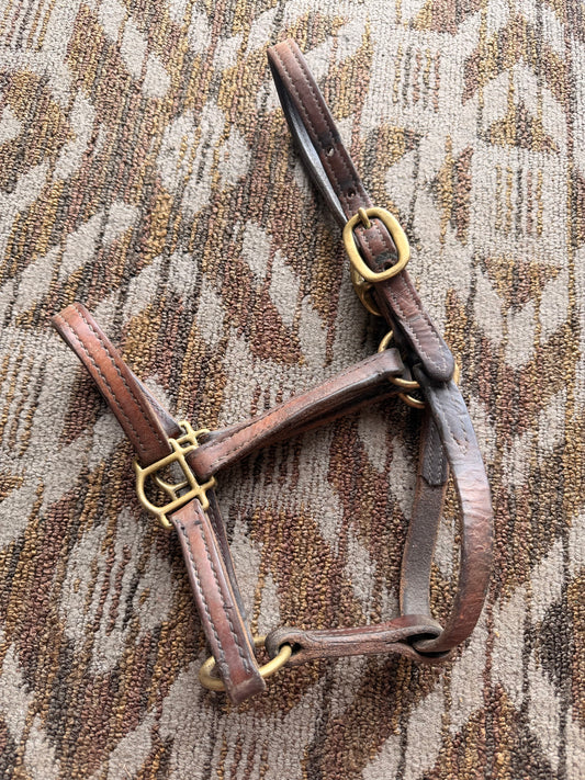 Leather Pony Halter