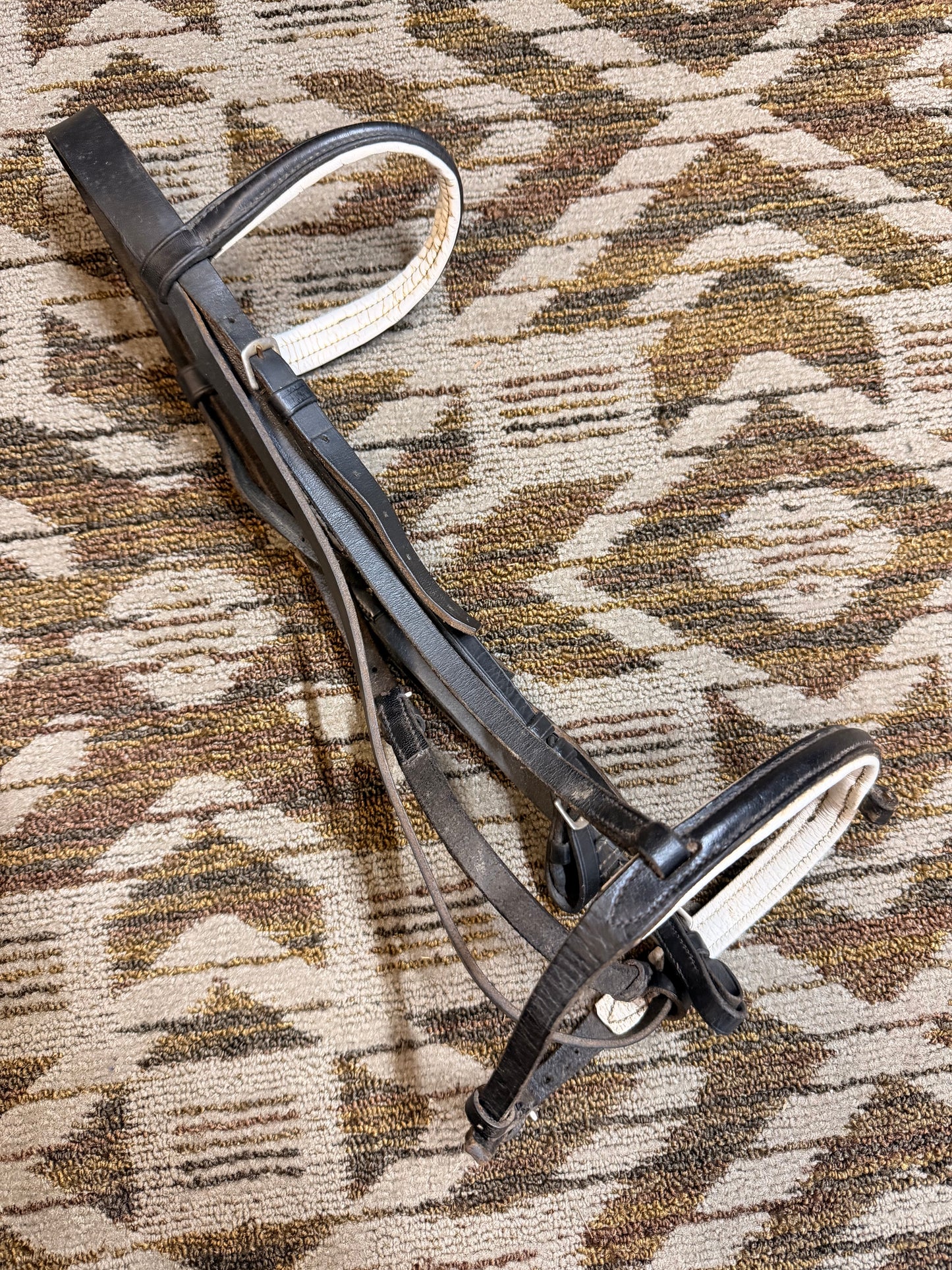 Black and White Bridle