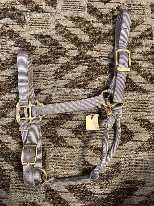 Large Grey Halter