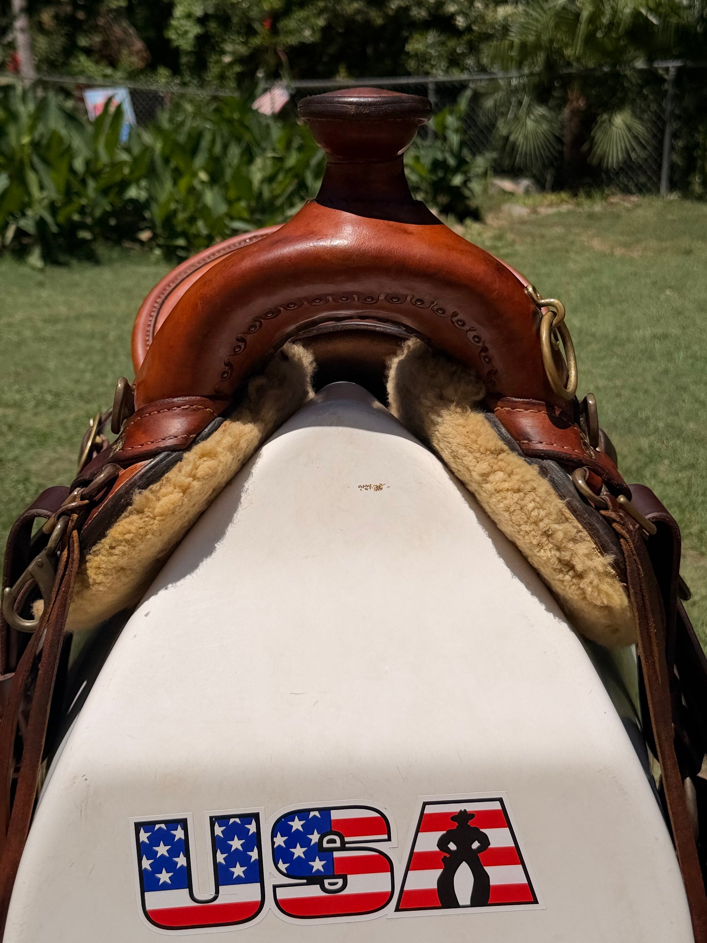 Fred Hook Trail Saddle