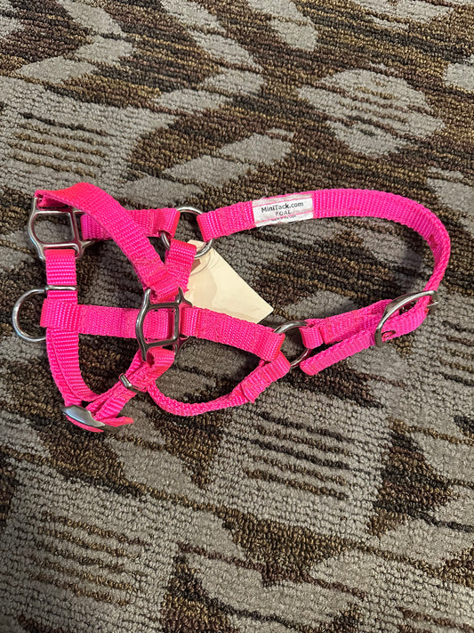 Foal Halter