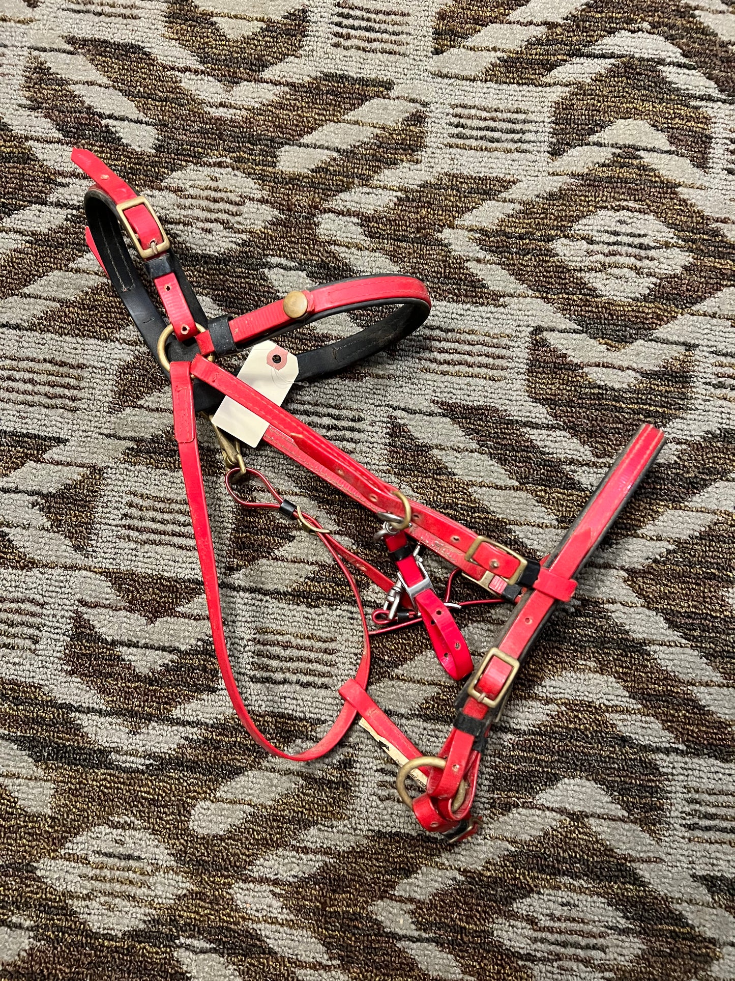 Red Biothane Halter Bridle “The Smart Bridle”
