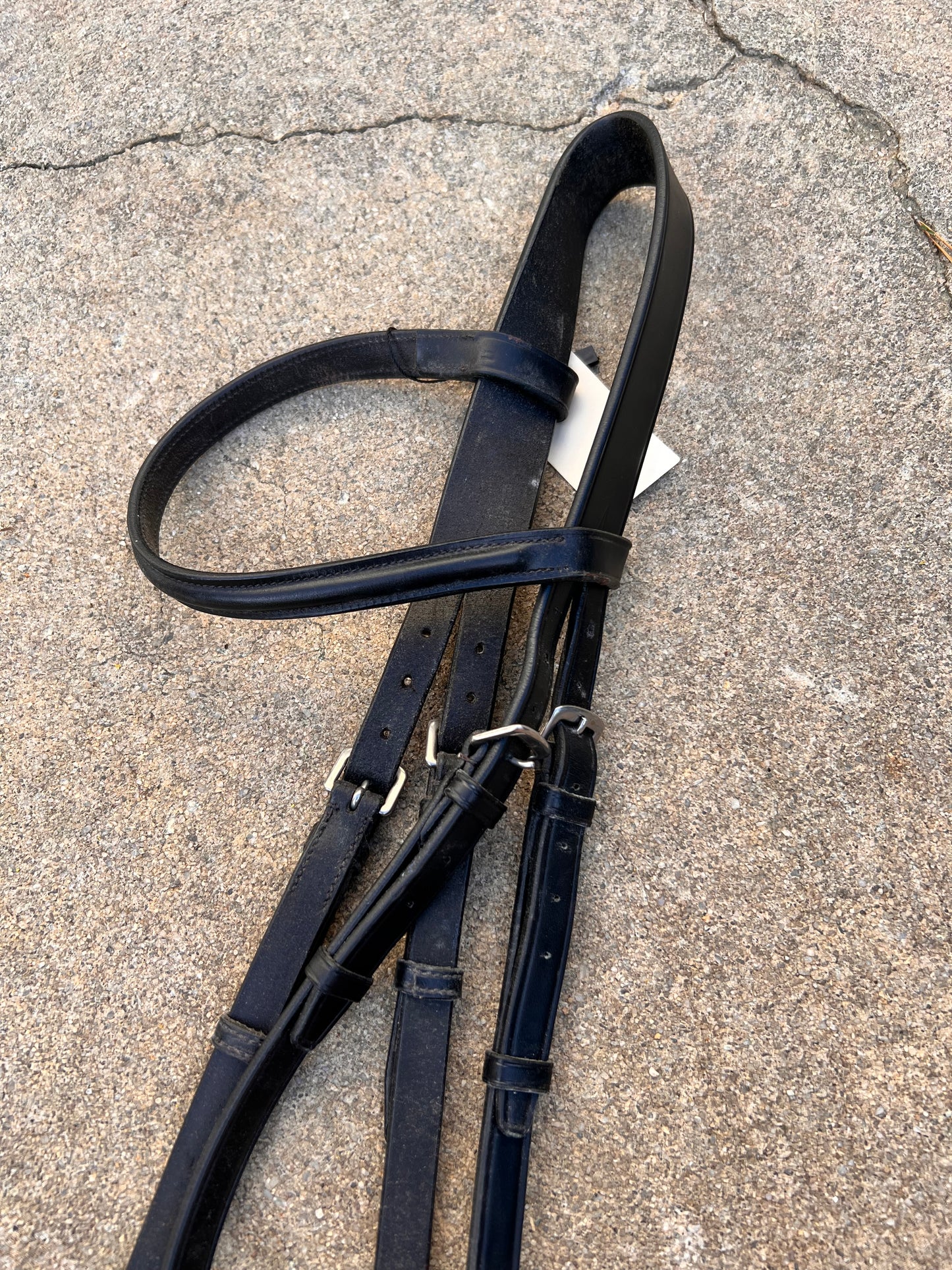 Dr. Cook Black Bitless Bridle