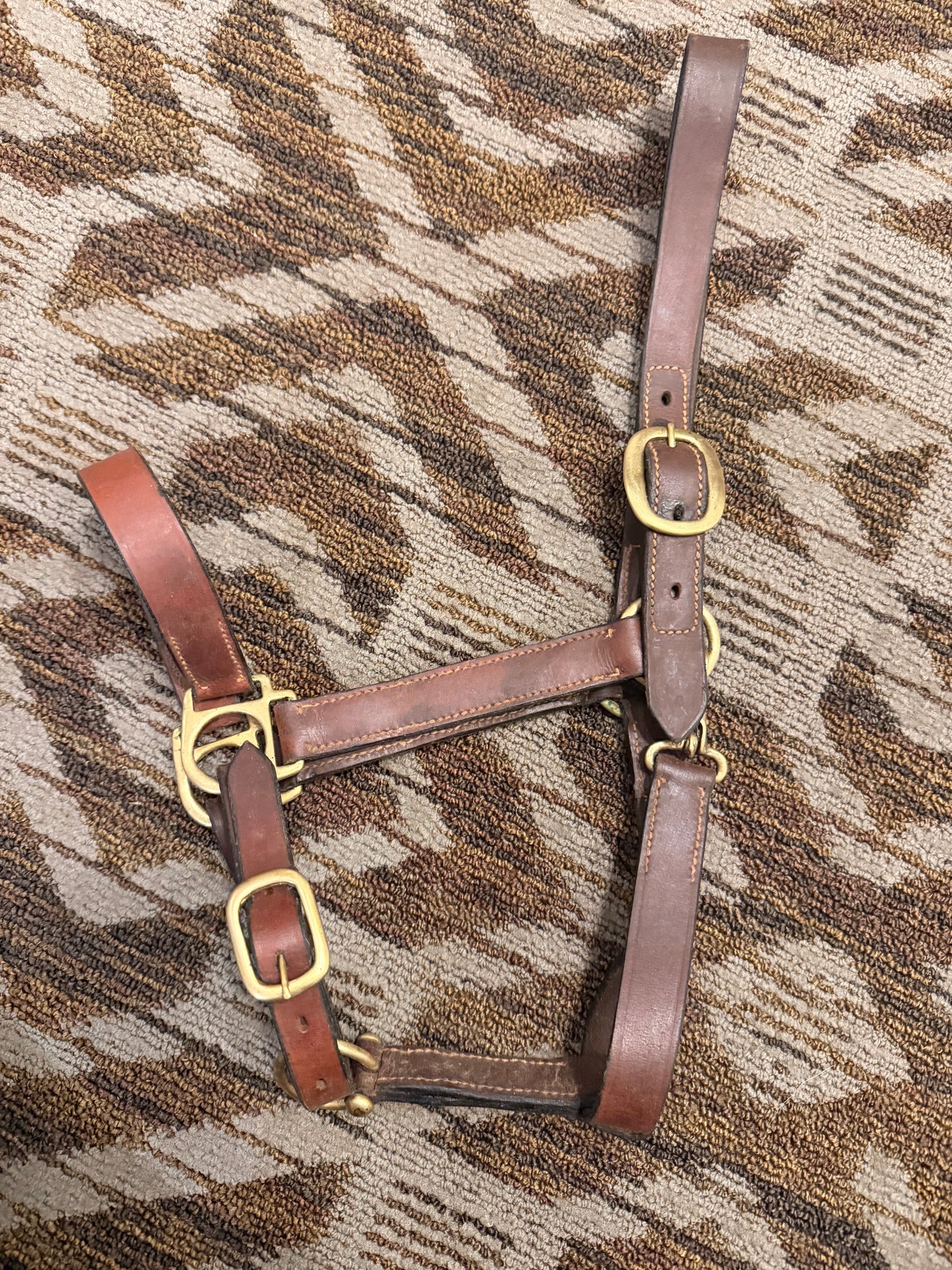 Standard Leather Halter w/ Clip