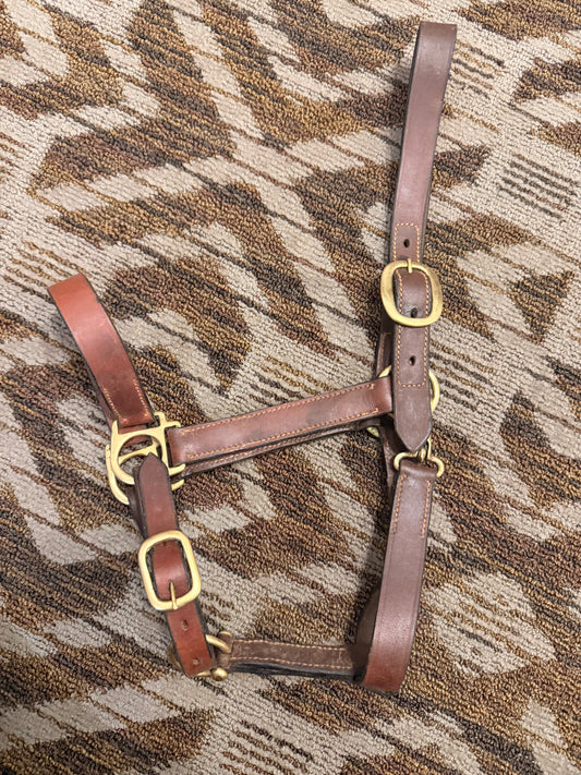 Standard Leather Halter w/ Clip