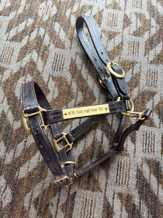 Leather Halter w/ Nameplate