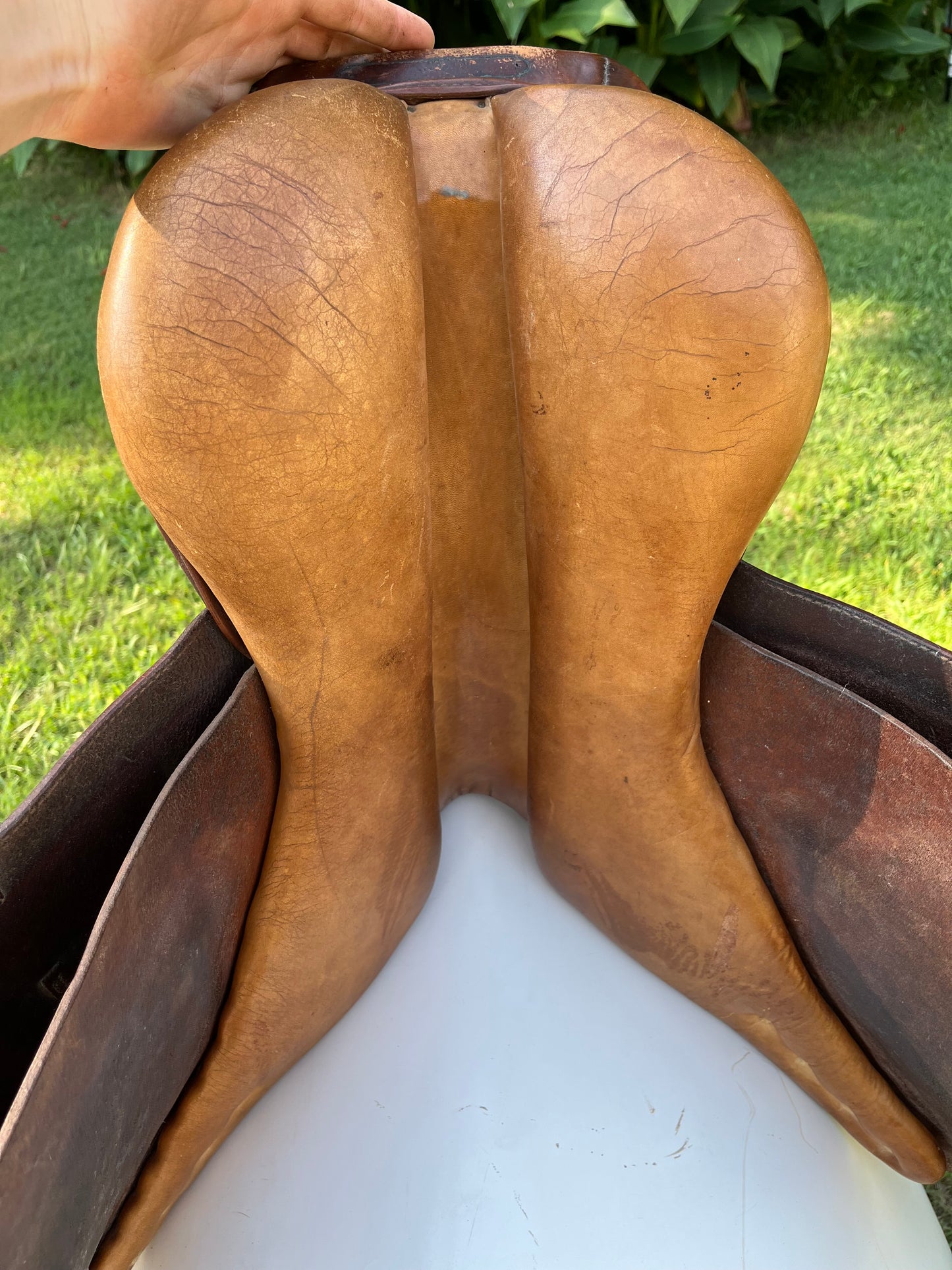 Collegiate Close Contact Saddle