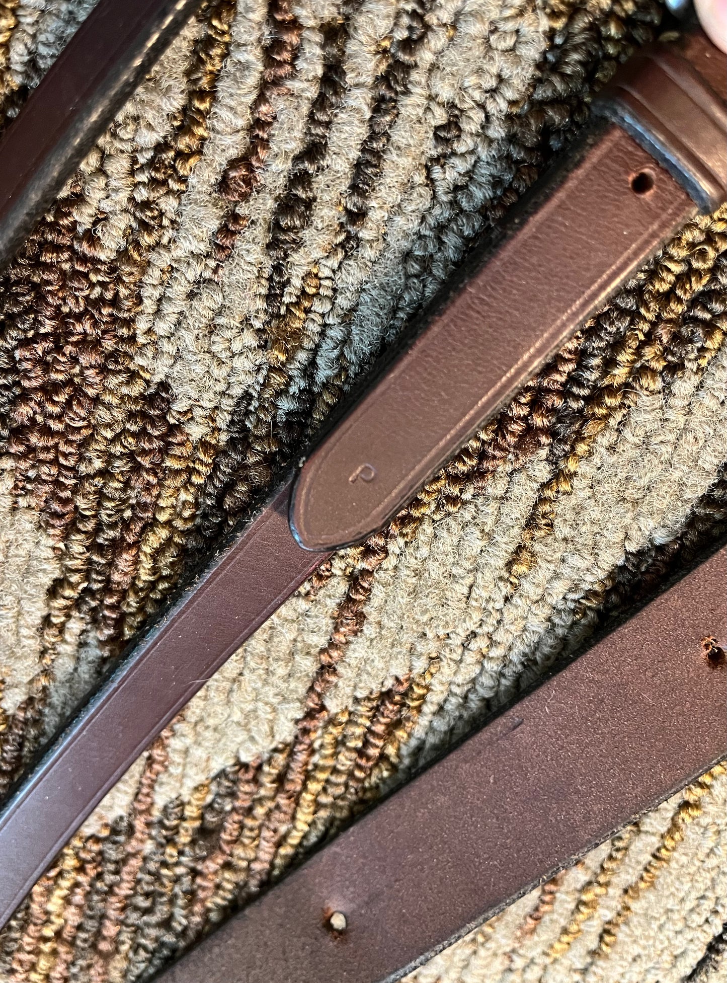Northampton Running Martingale
