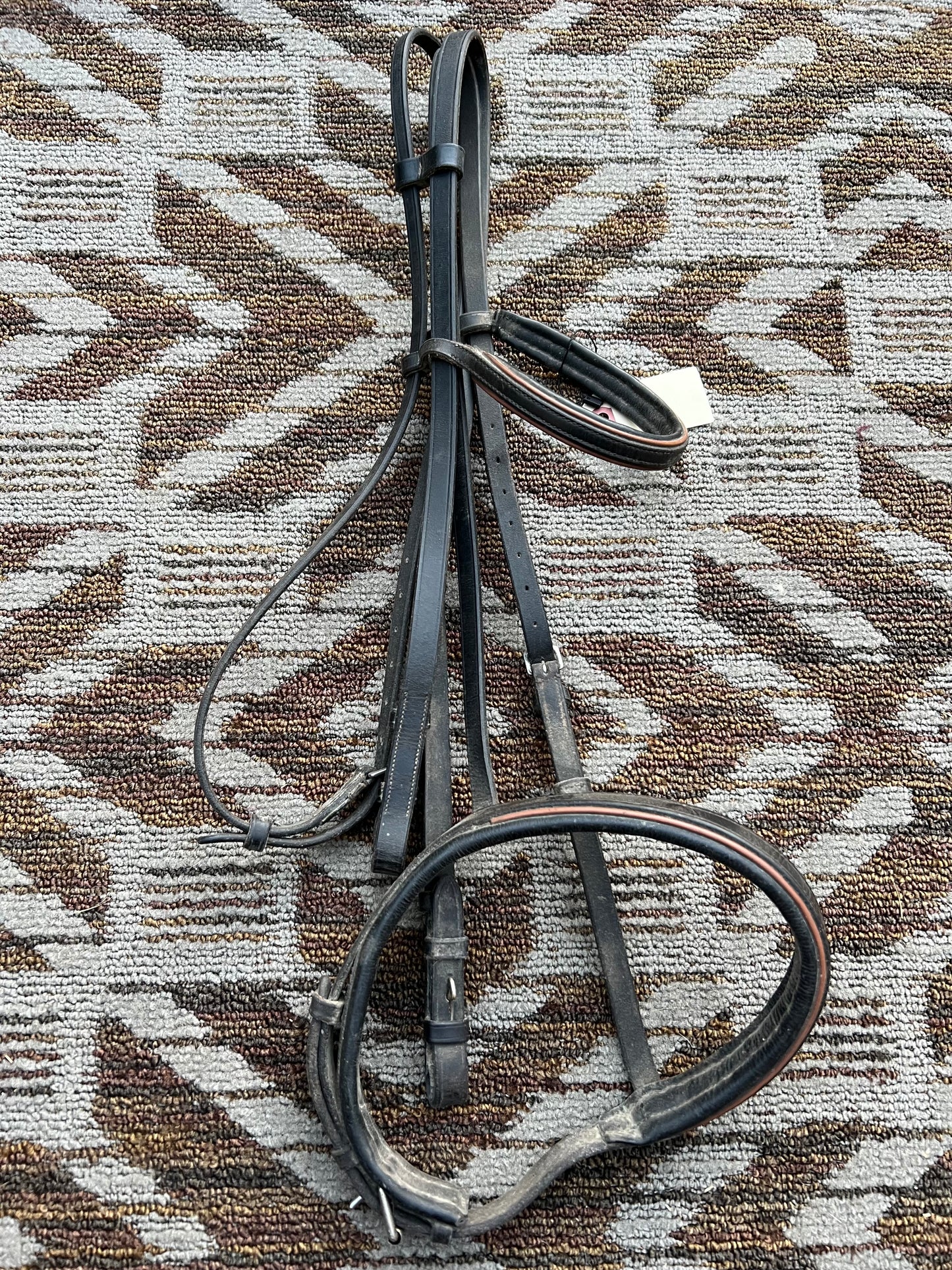 Two Toned Bridle