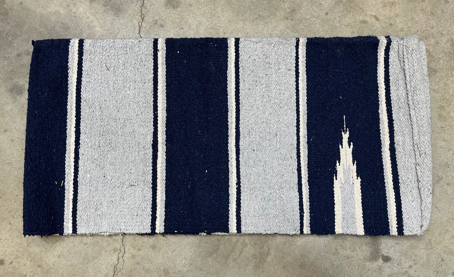 Blue Saddle Blanket