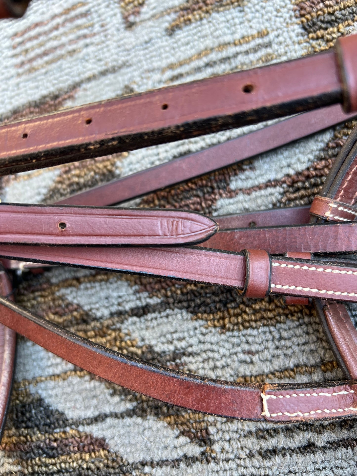 Chestnut Warmblood Bridle