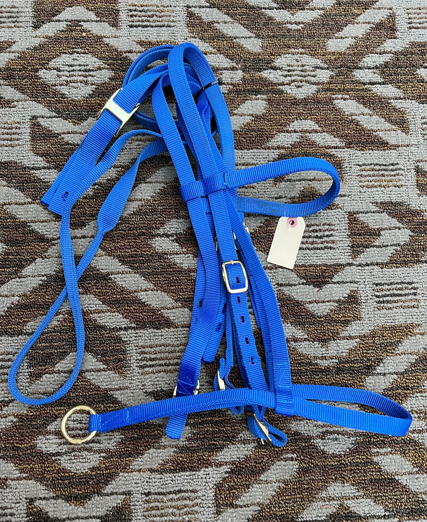 Blue Nylon Bridle w/ Matching Reins