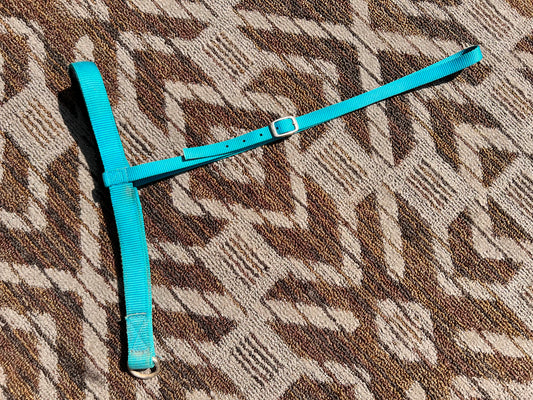 Blue Nylon Tie Down