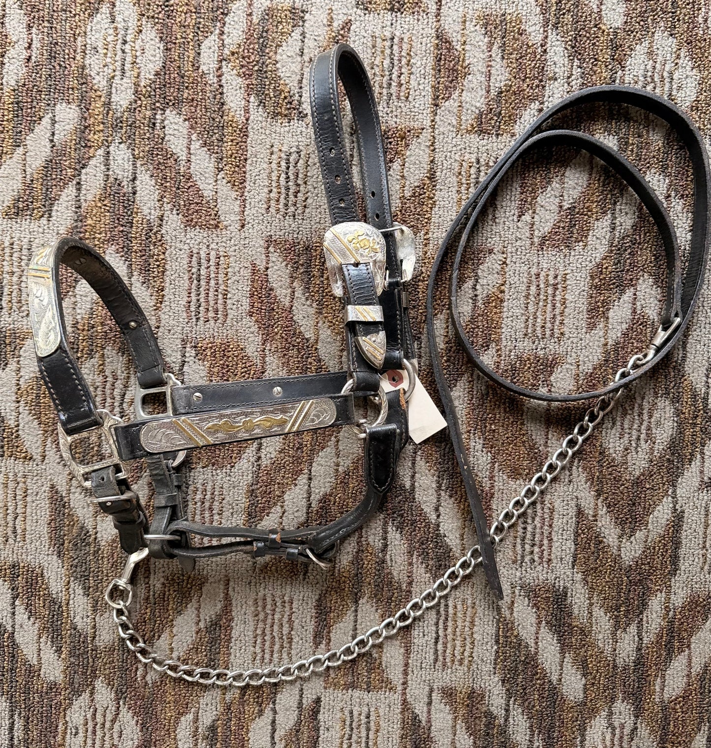 Black Show Halter w/ Lead