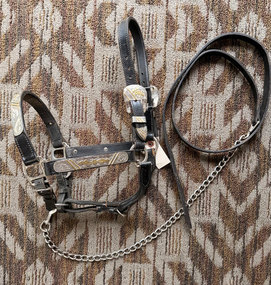 Black Show Halter w/ Lead
