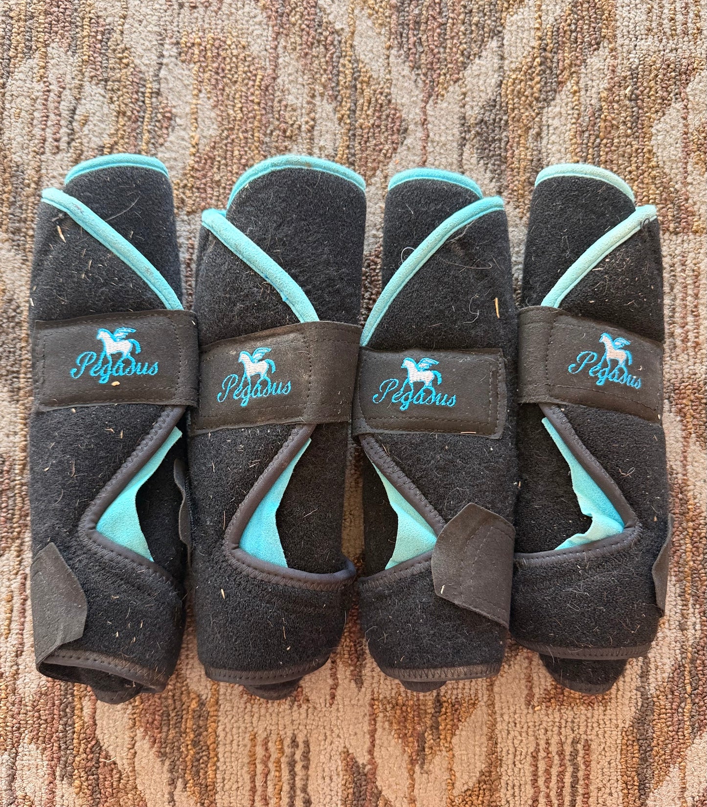 Pegasus Set of 4 Sport Boots