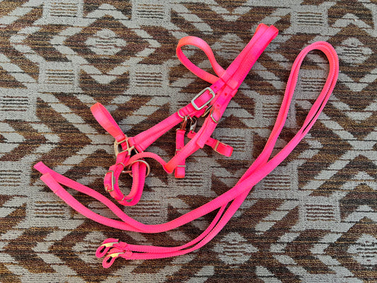 Pink Nylon Halter Bridle w/ Matching Reins