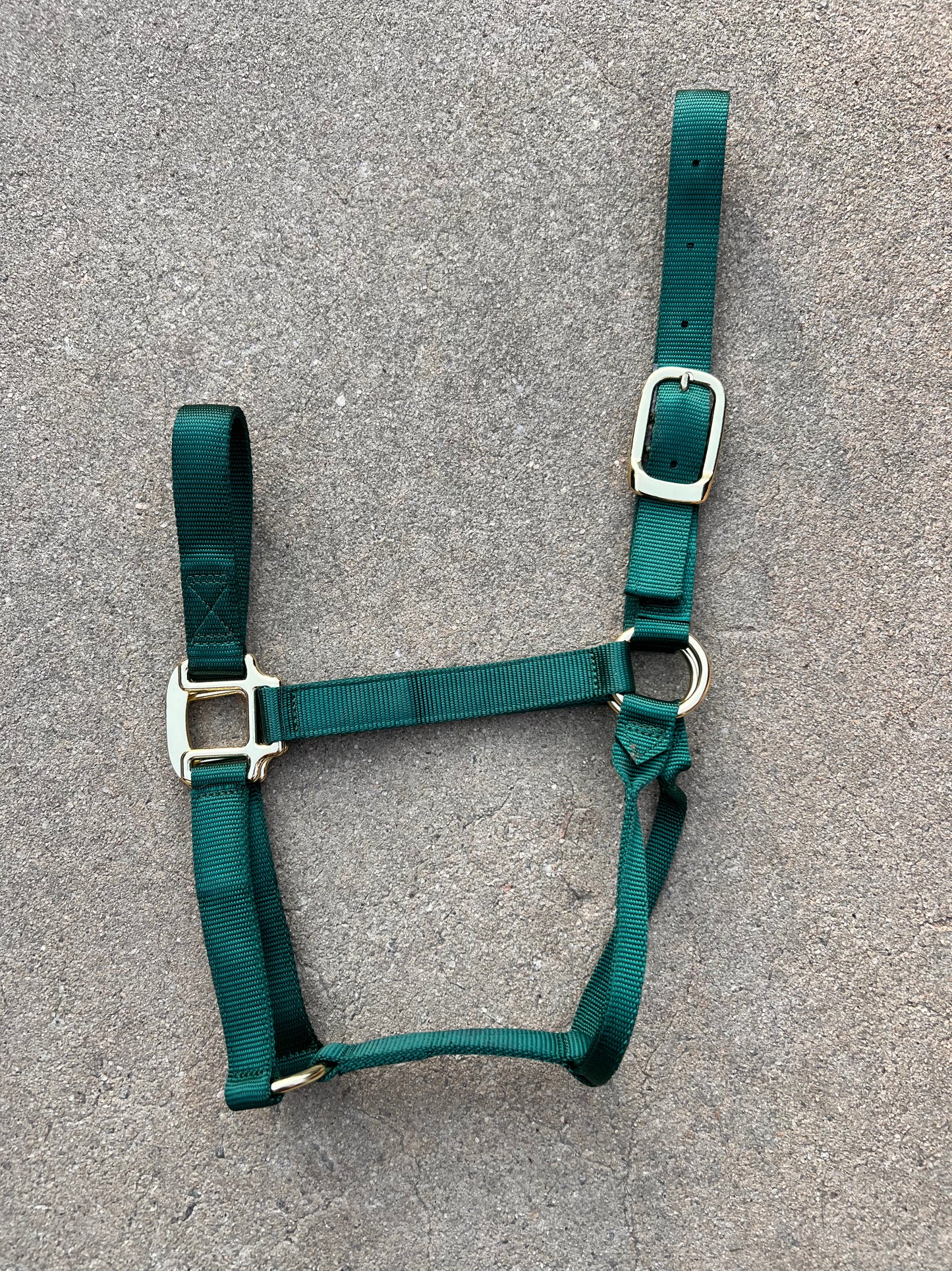 Hunter Green Medium Halter