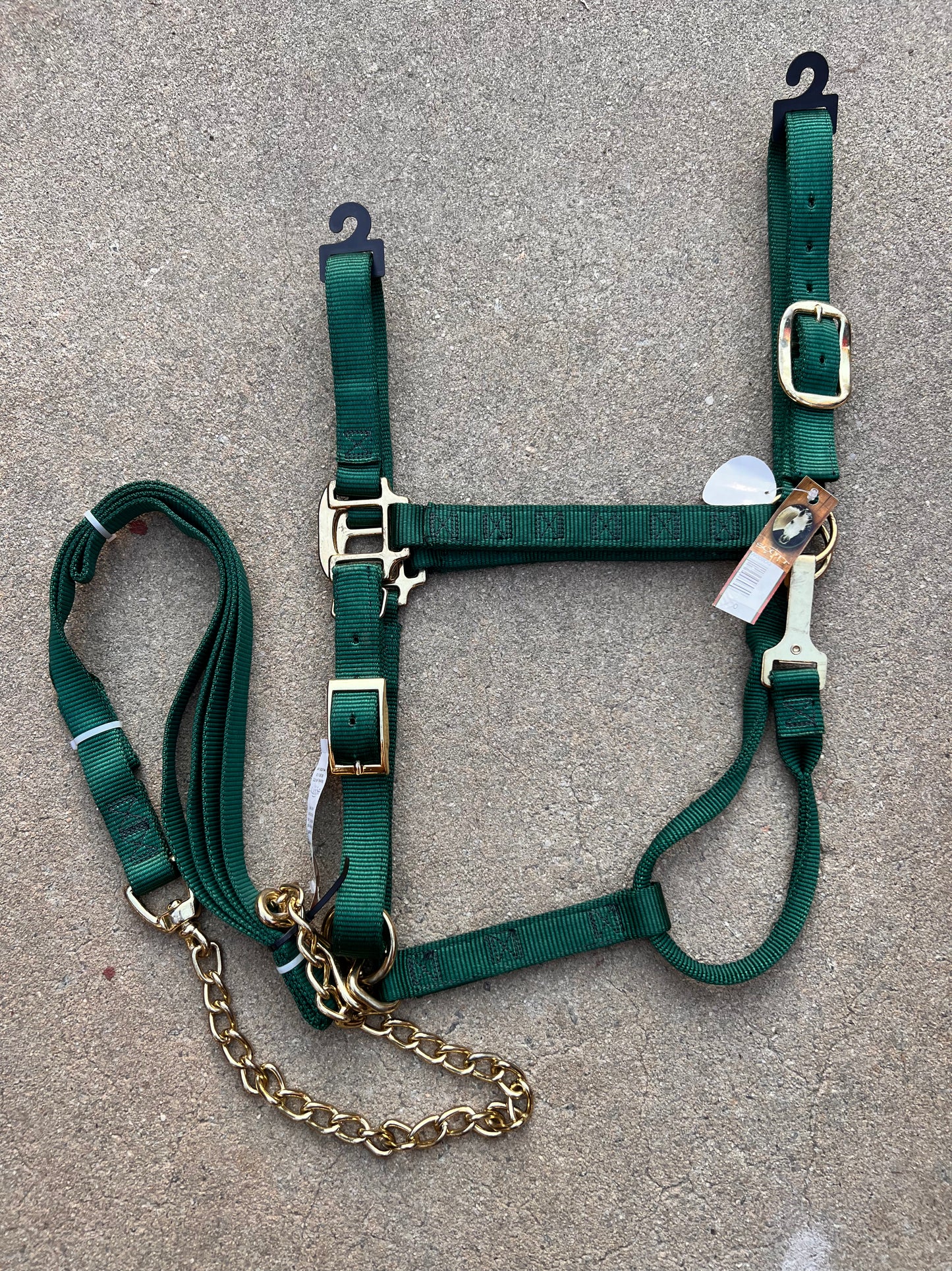 Hunter Green Halter w/ Matching Lead - Draft