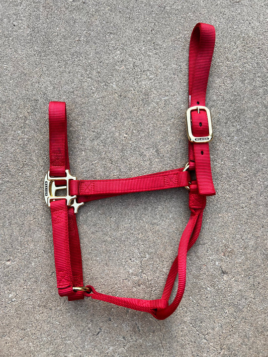 Weaver Halter - Large Horse