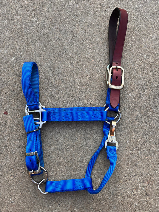 Hamilton Breakaway Halter