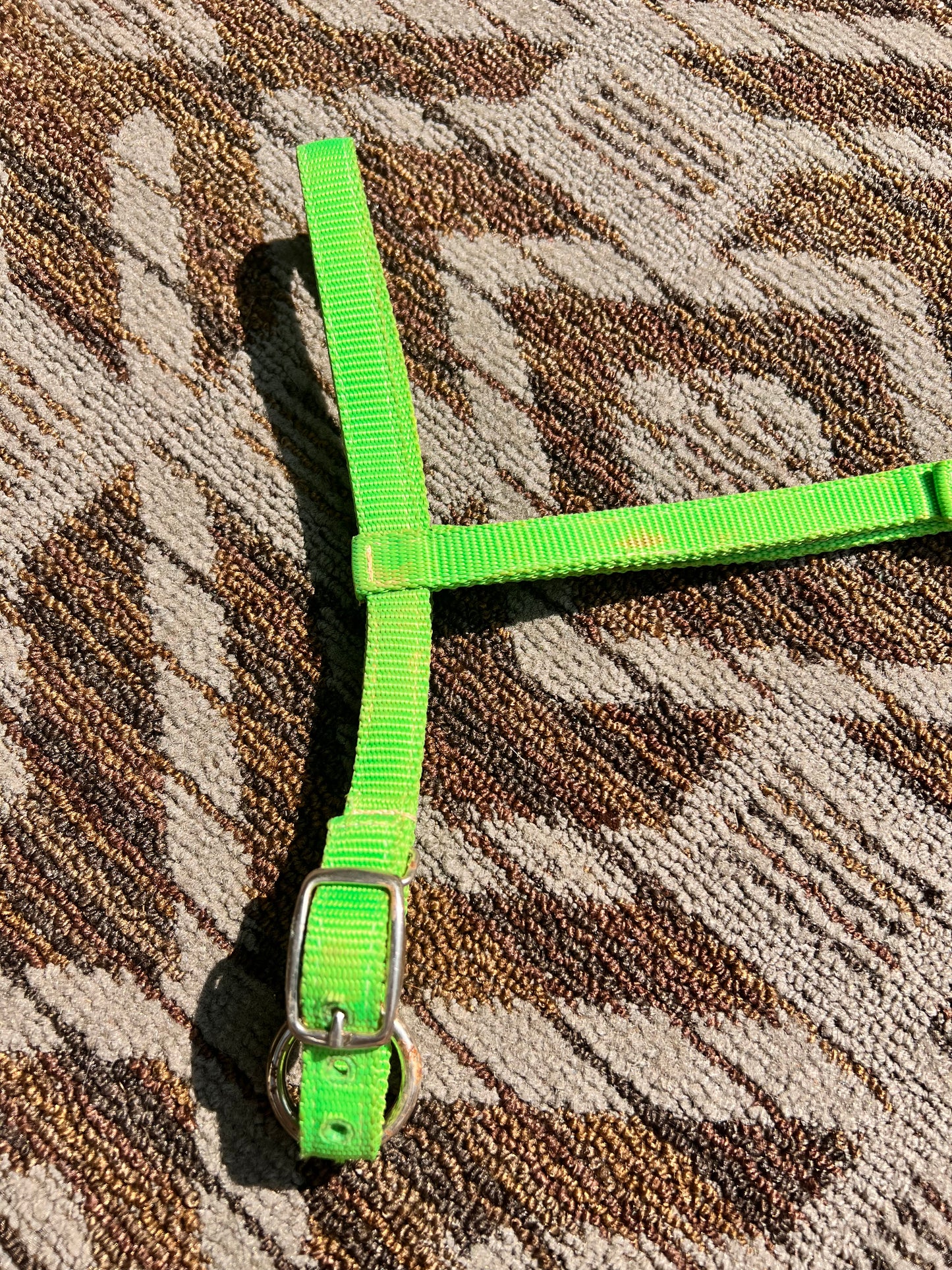 Neon Green Tie Down