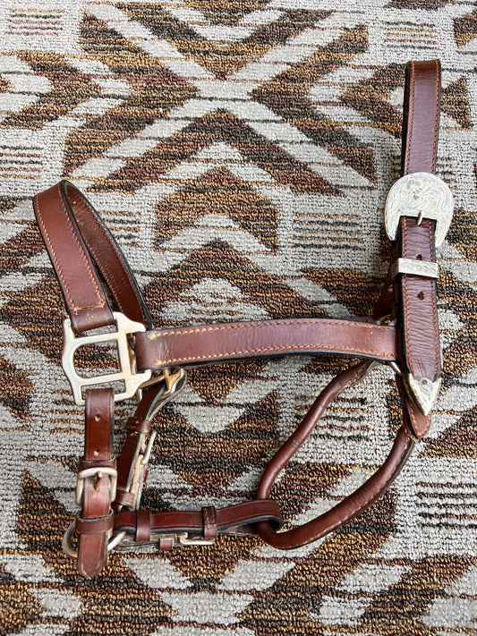 Leather/Silver Halter