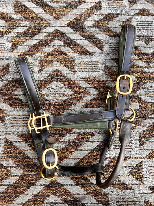 Padded Leather Halter