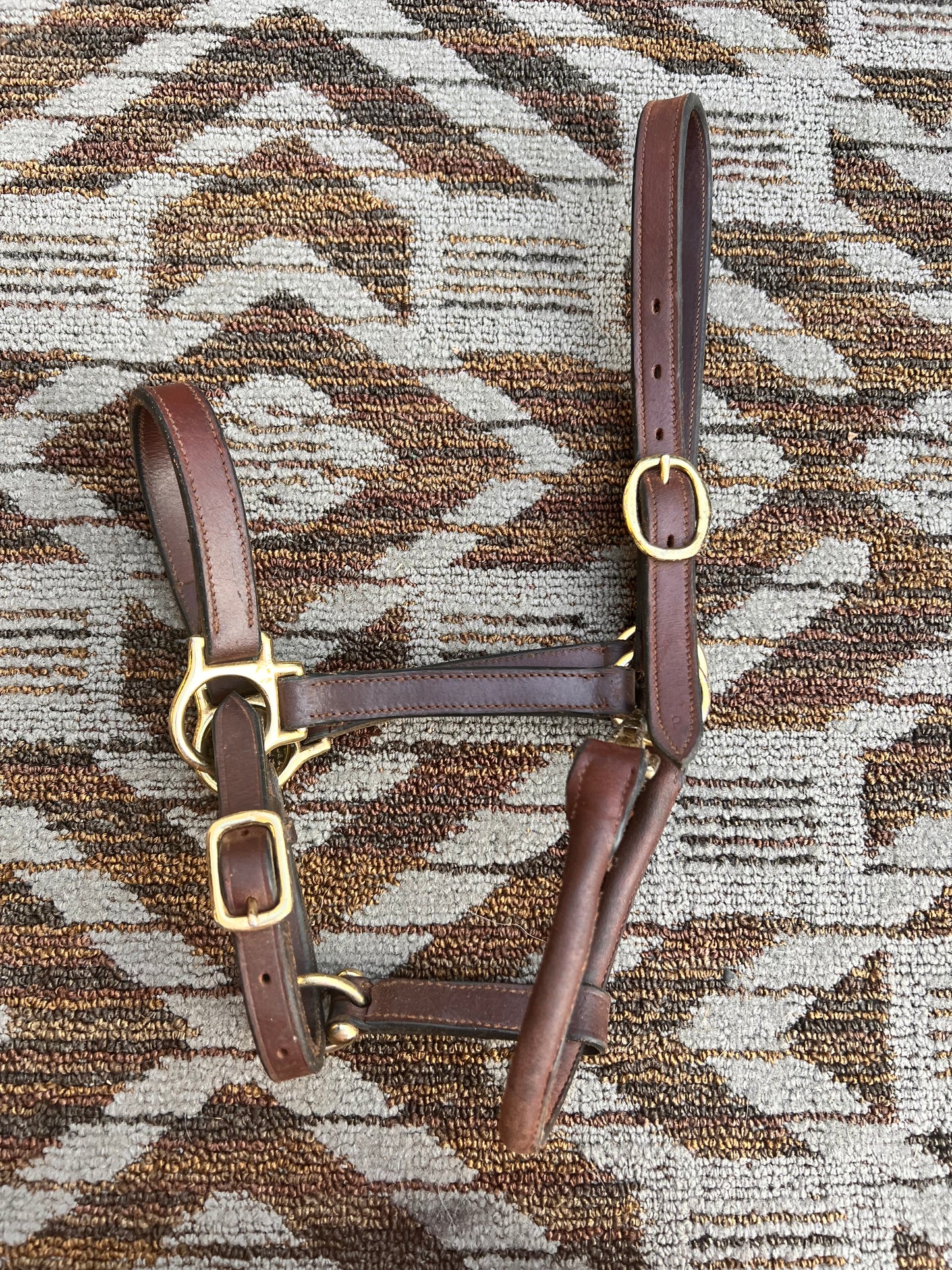 Leather Halter