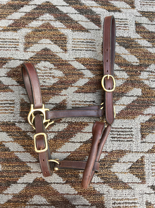 Leather Halter