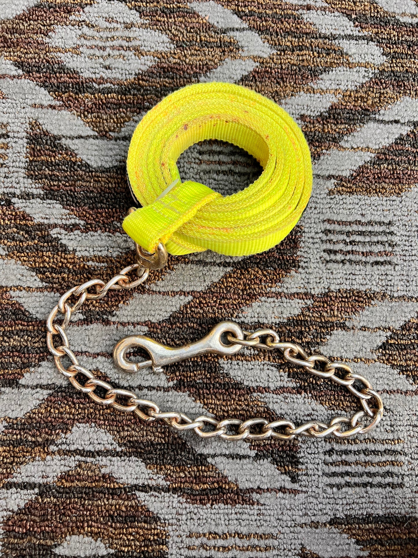 Neon Nylon Lead w/ Chain