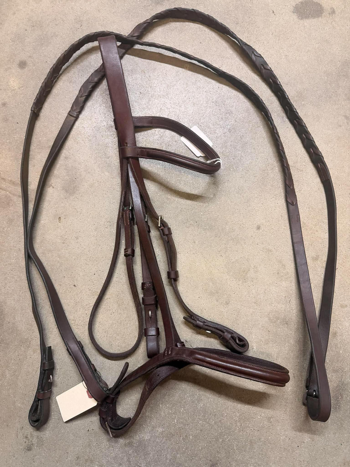 Bridle and Reins