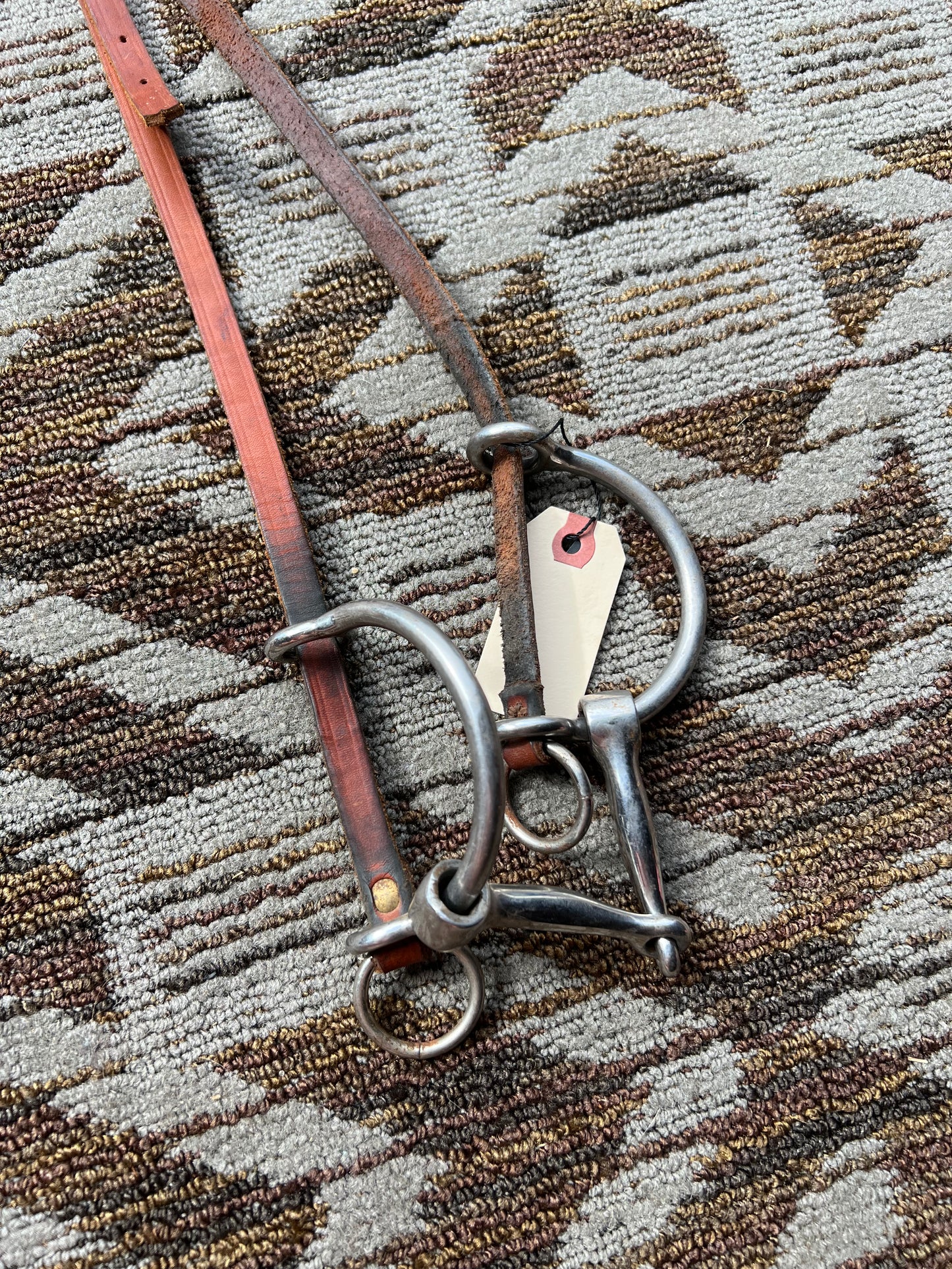 Gag Bit and Bridle Set