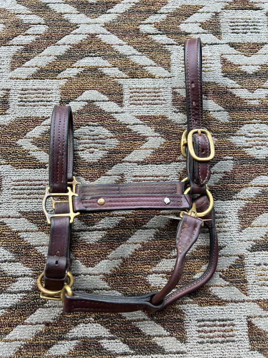 Leather Halter w/ Brass Hardware