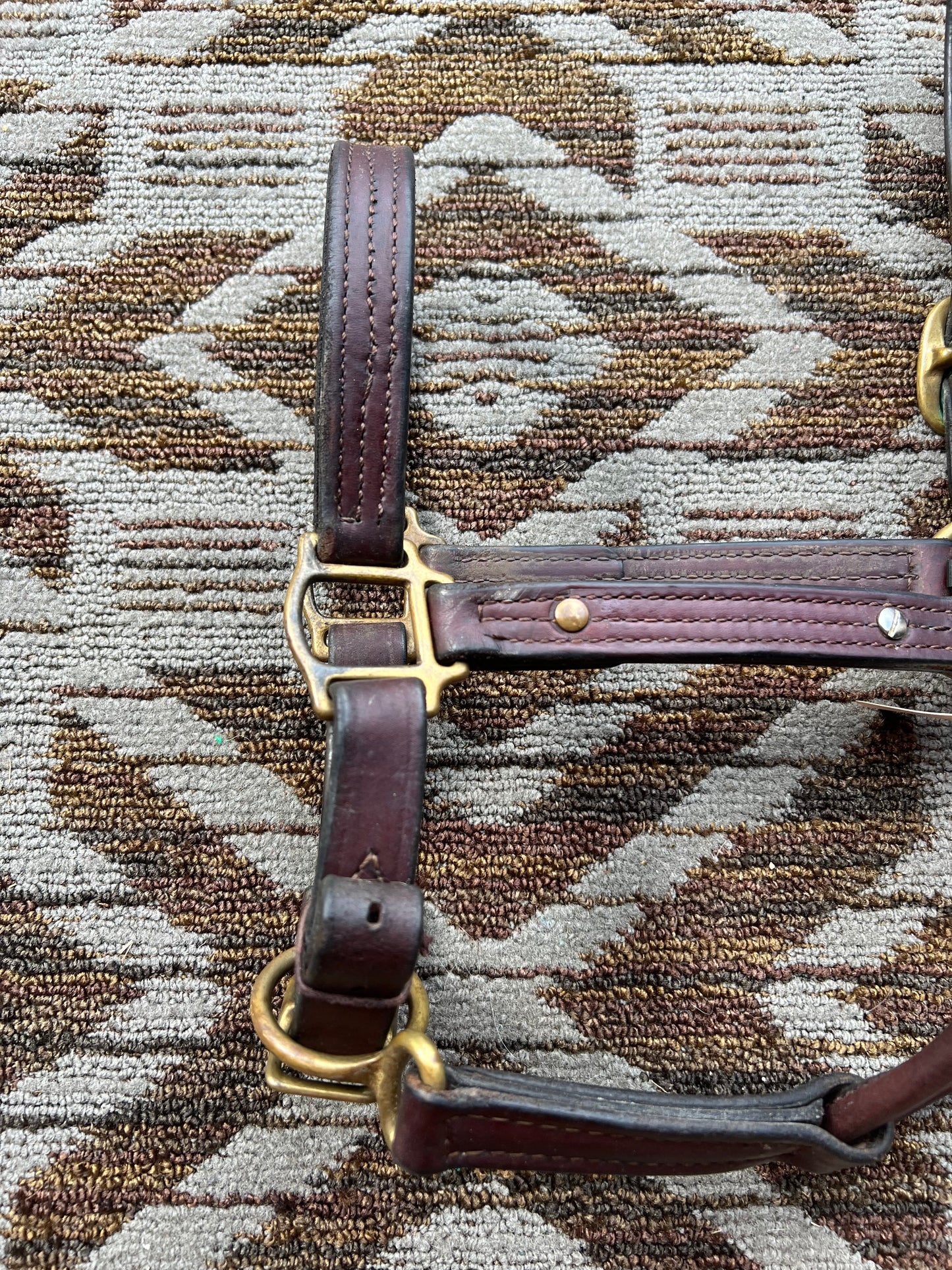 Leather Halter w/ Brass Hardware