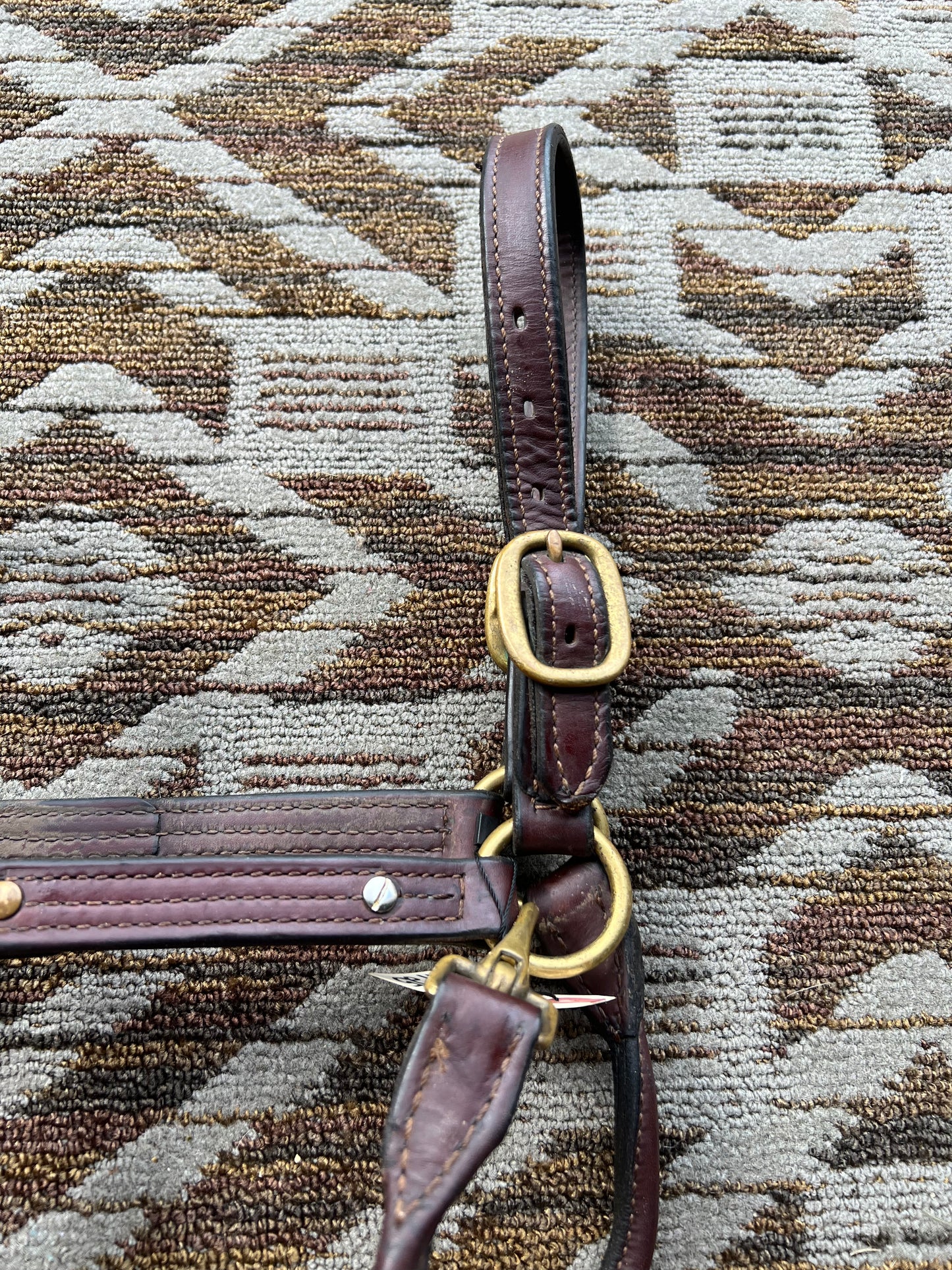 Leather Halter w/ Brass Hardware