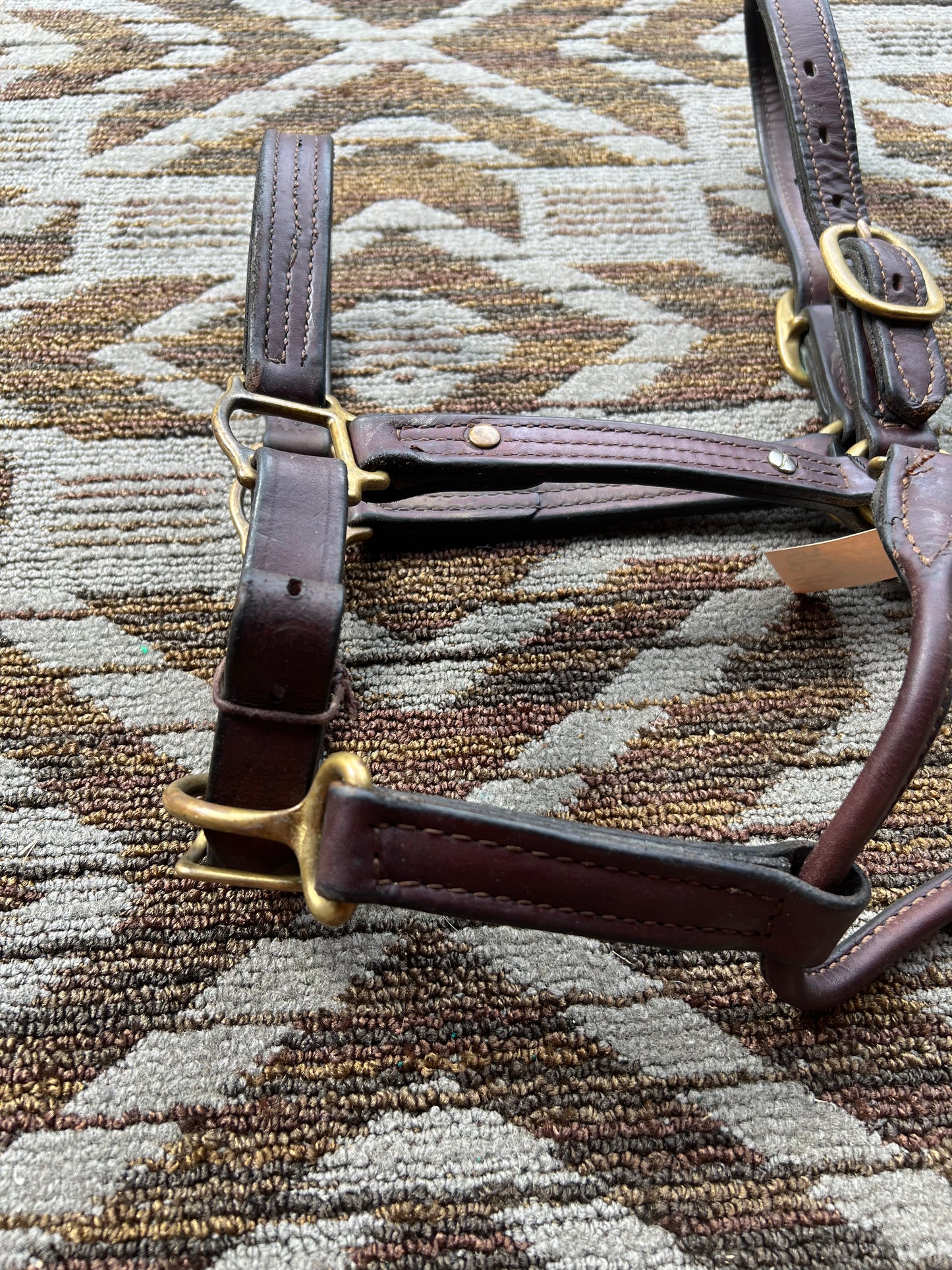 Leather Halter w/ Brass Hardware