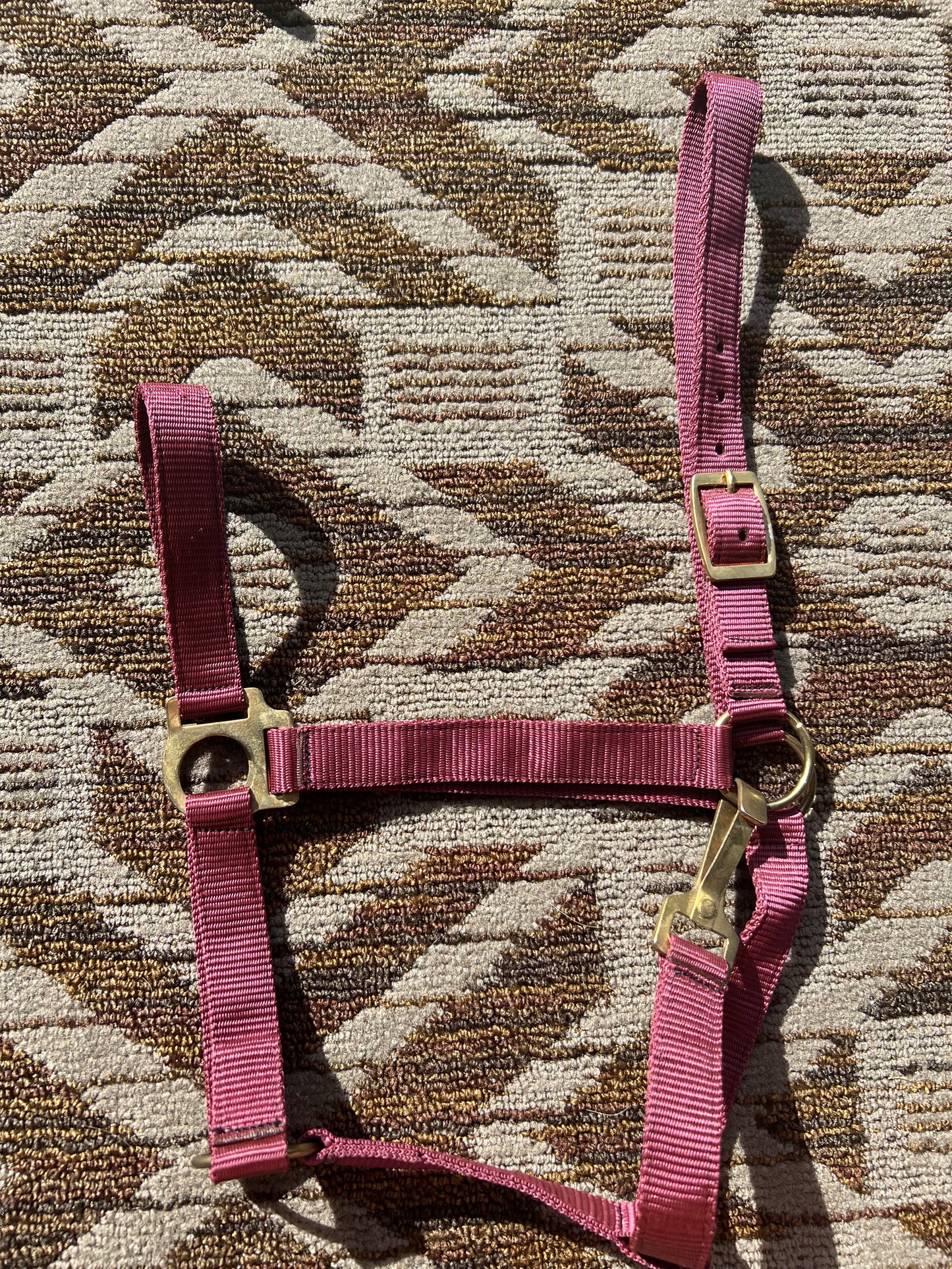 Burgundy Nylon Halter