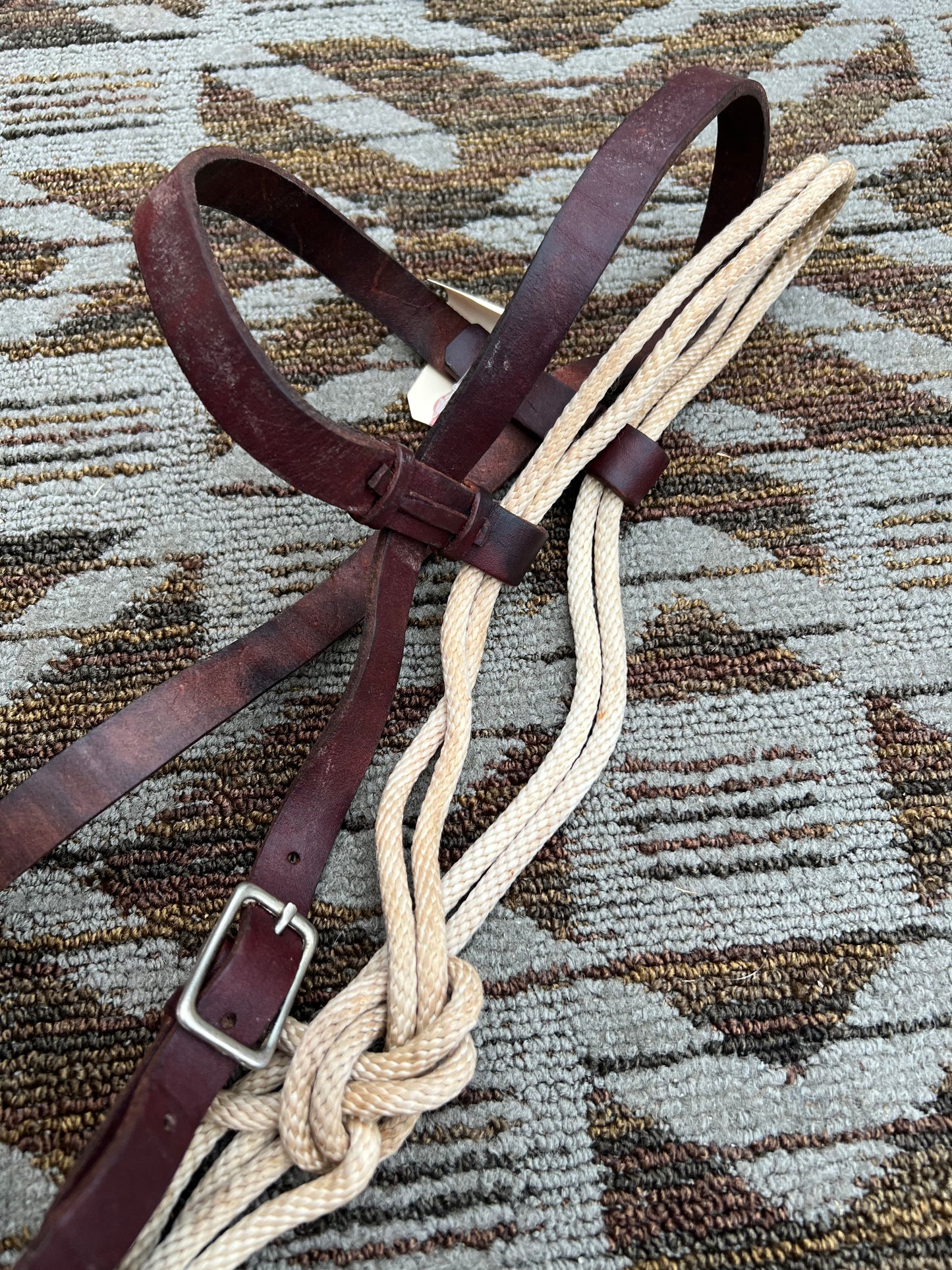 Western Hackamore