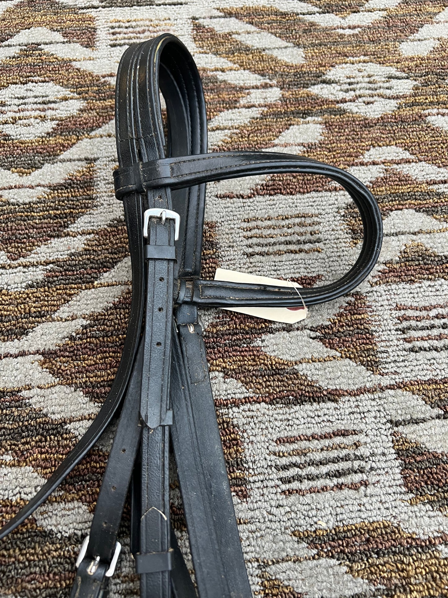 Black Biothane Bridle