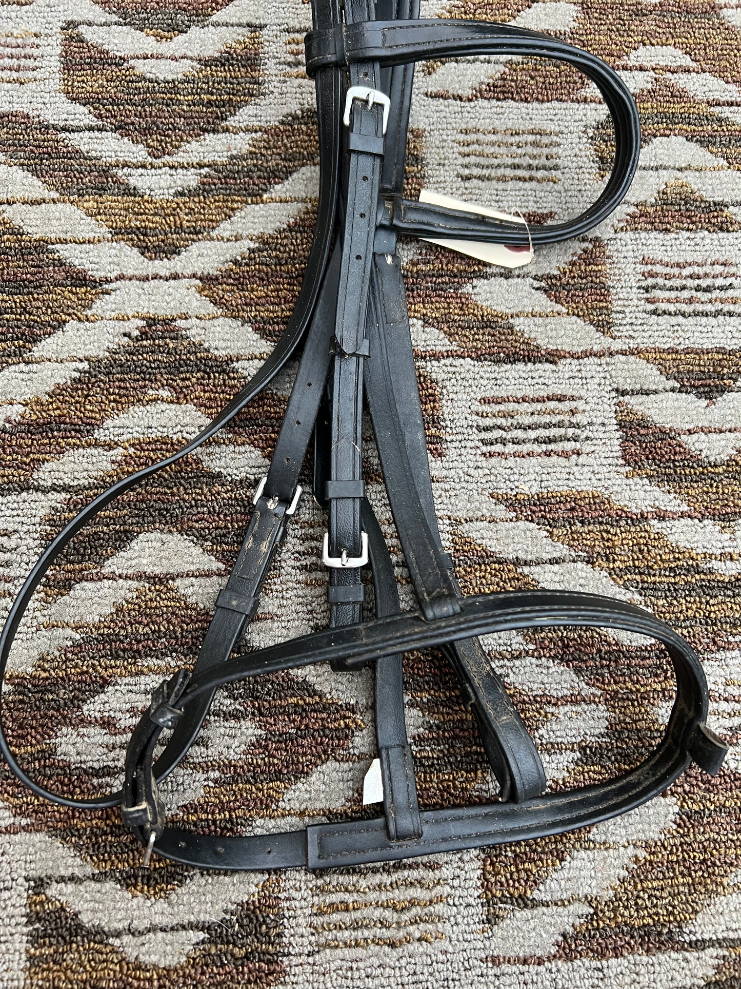 Black Biothane Bridle