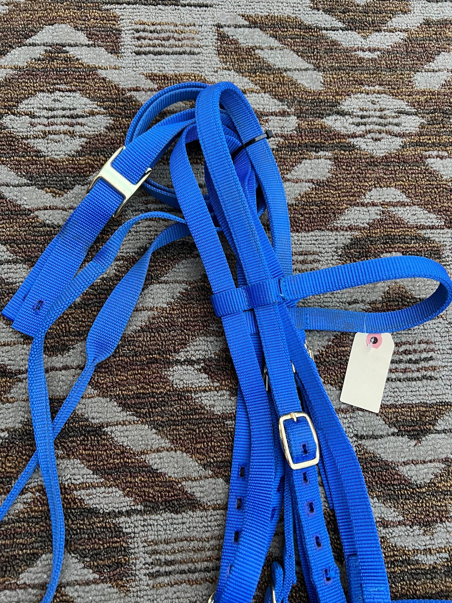 Blue Nylon Bridle w/ Matching Reins