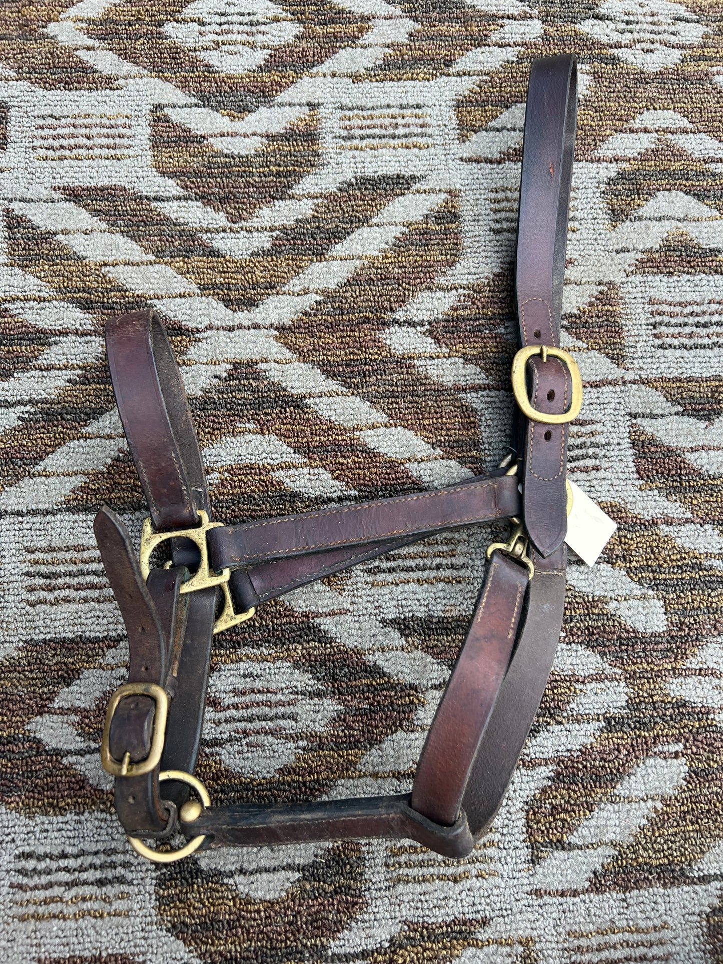 Leather Halter