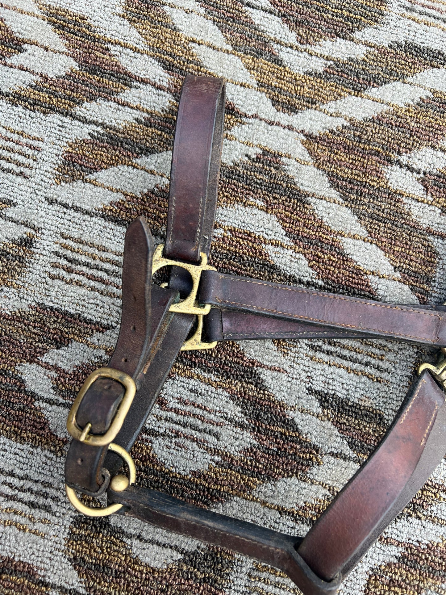 Leather Halter