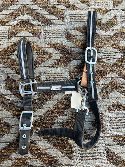 Roma Padded Breakaway Halter - Cob