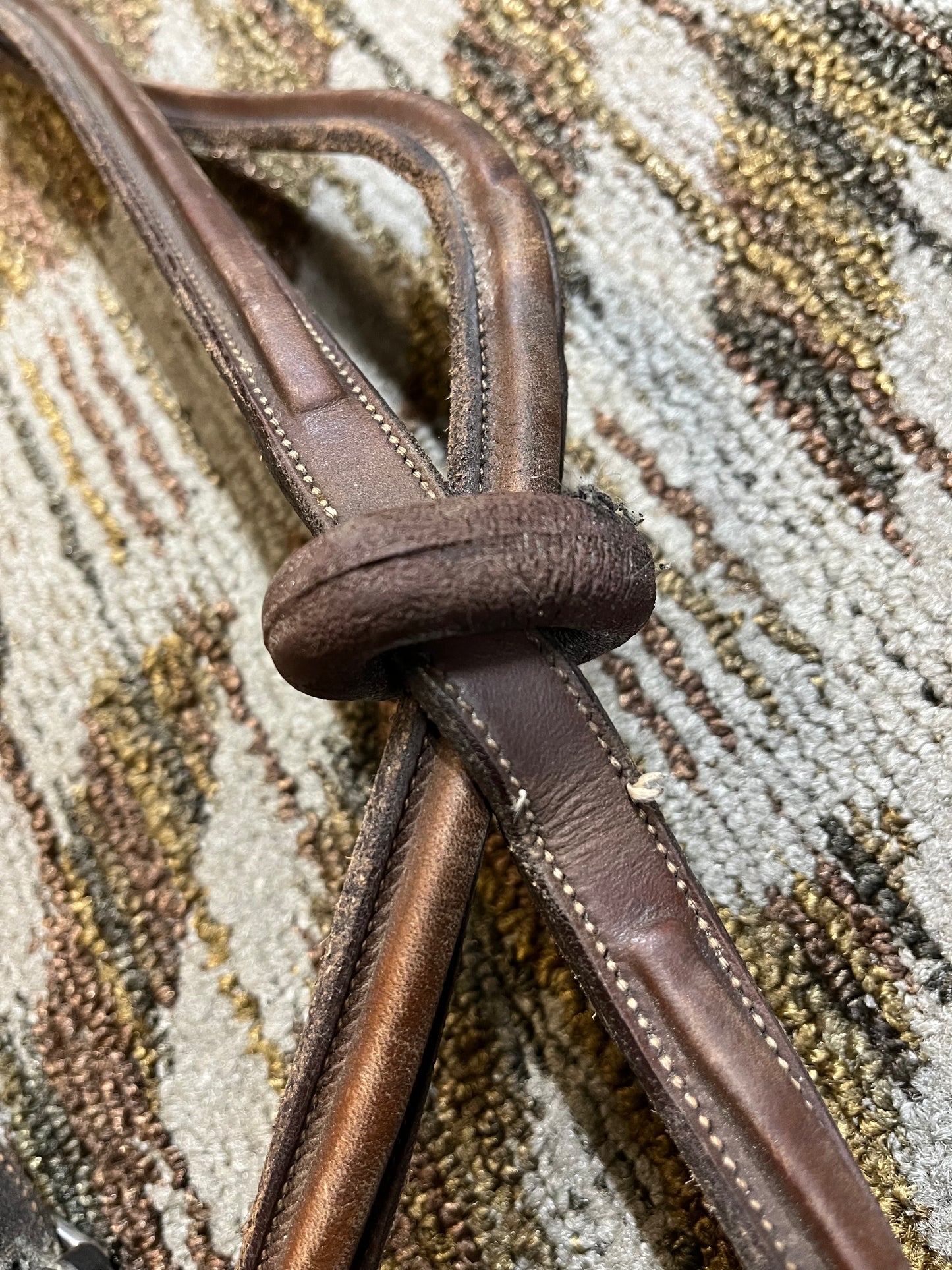 Circuit Raised Standing Martingale