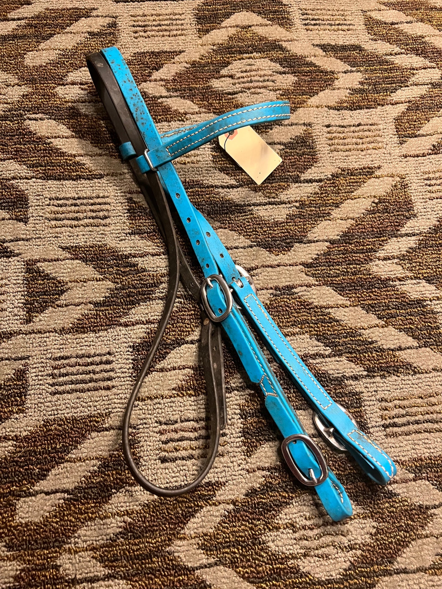 Blue Biothane Headstall