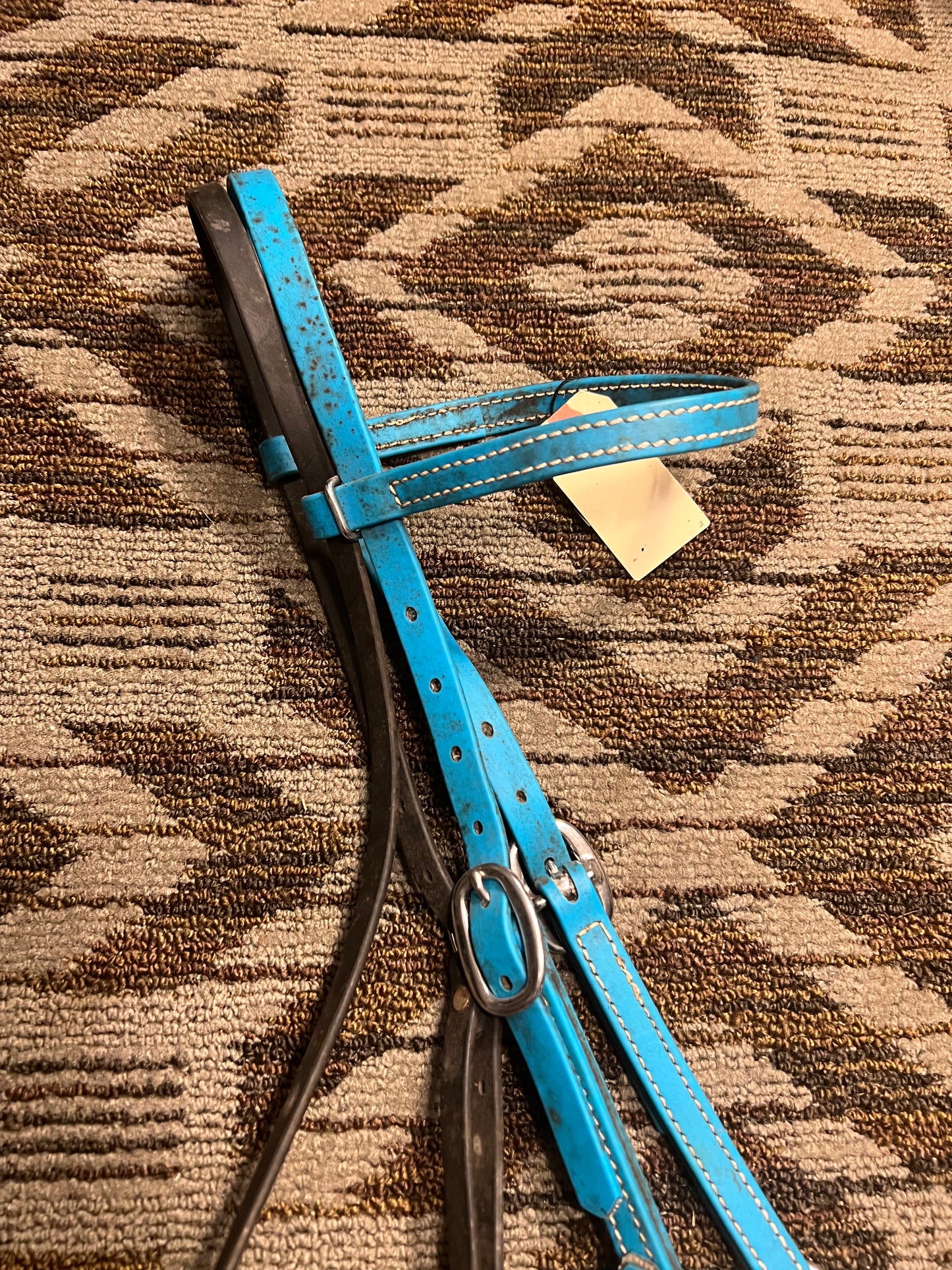 Blue Biothane Headstall